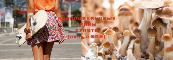 прущая мука Бронницы
