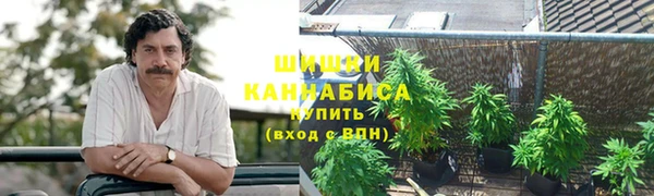 мескалин Бородино