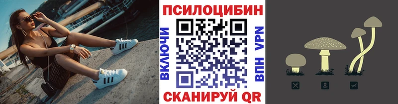 Псилоцибиновые грибы Magic Shrooms  как найти   Курск 